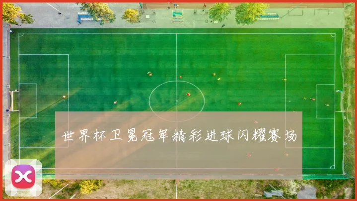 世界杯卫冕冠军精彩进球闪耀赛场