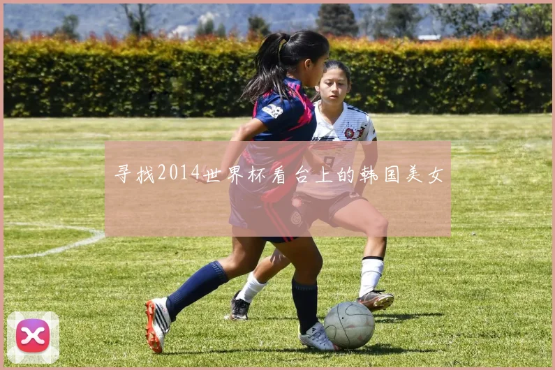 寻找2014世界杯看台上的韩国美女