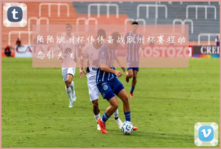 陌陌欧洲杯伟伟备战欧洲杯赛程动态引关注