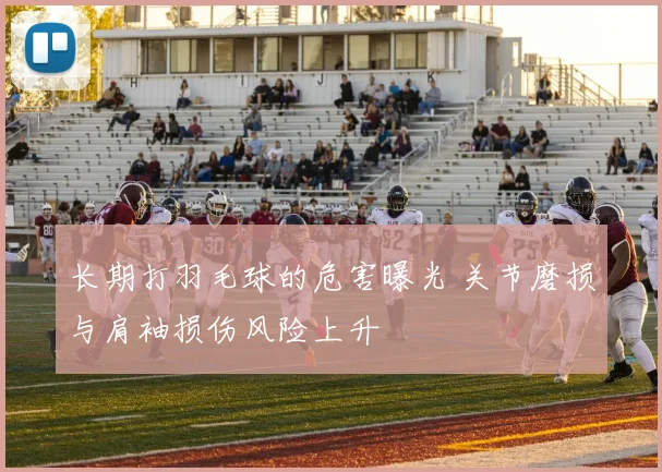 长期打羽毛球的危害曝光 关节磨损与肩袖损伤风险上升