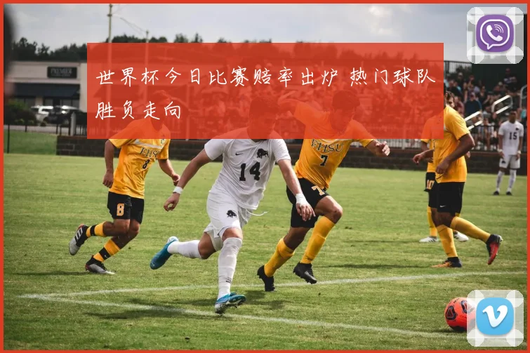 世界杯今日比赛赔率出炉 热门球队胜负走向
