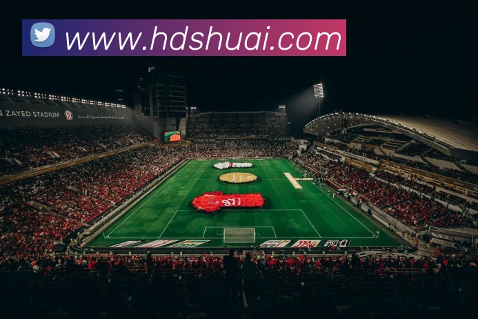 世界杯app官网发展历程